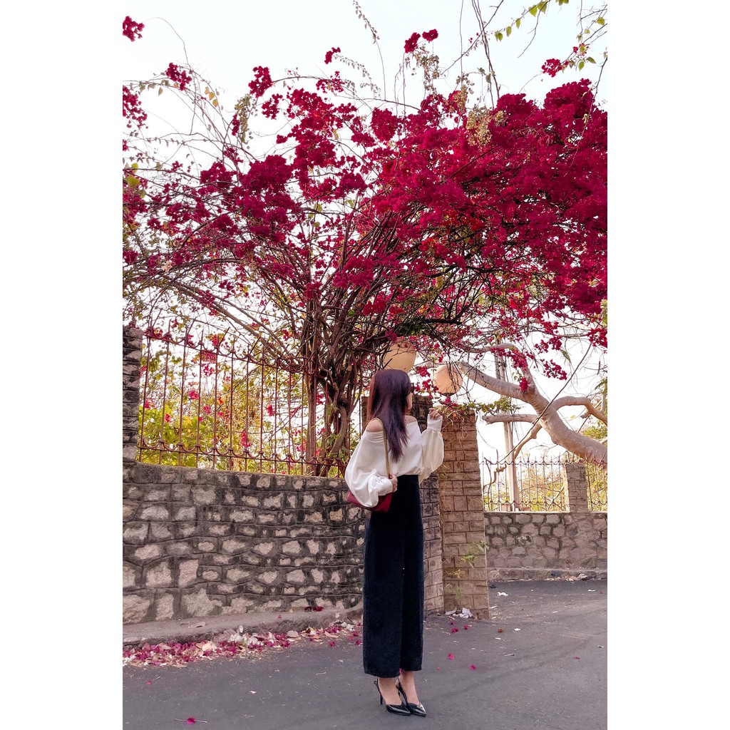 QUẦN TÂY ỐNG RỘNG NỮ LƯNG CAO MÀU ĐEN CAO CẤP NITI LAI CUỐN, CÚC CÀI KHÓA KÉO TRƯỚC SIÊU XỊN SÒ, CHẤT VẢI TUYẾT MƯA DÀY