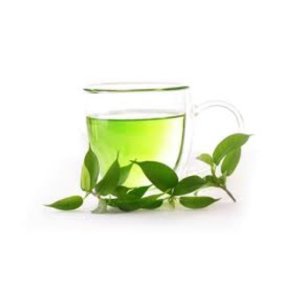 Chiết xuất trà xanh - 10ml