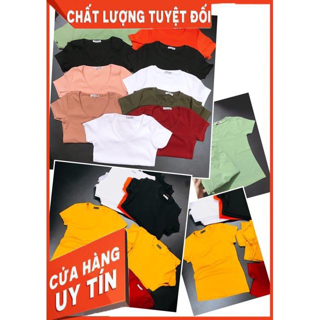 Áo thun trơn tôn dáng- vải đẹp- Hình shop chụp thật