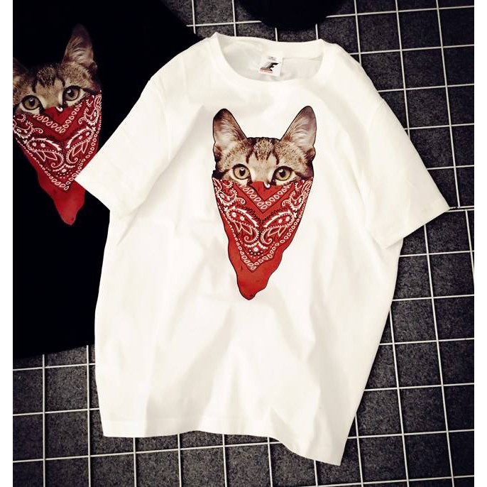 Áo mèo khăn chât tici_KT03