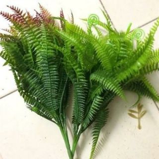 Hoa giả- cụm dương sỉ vòi