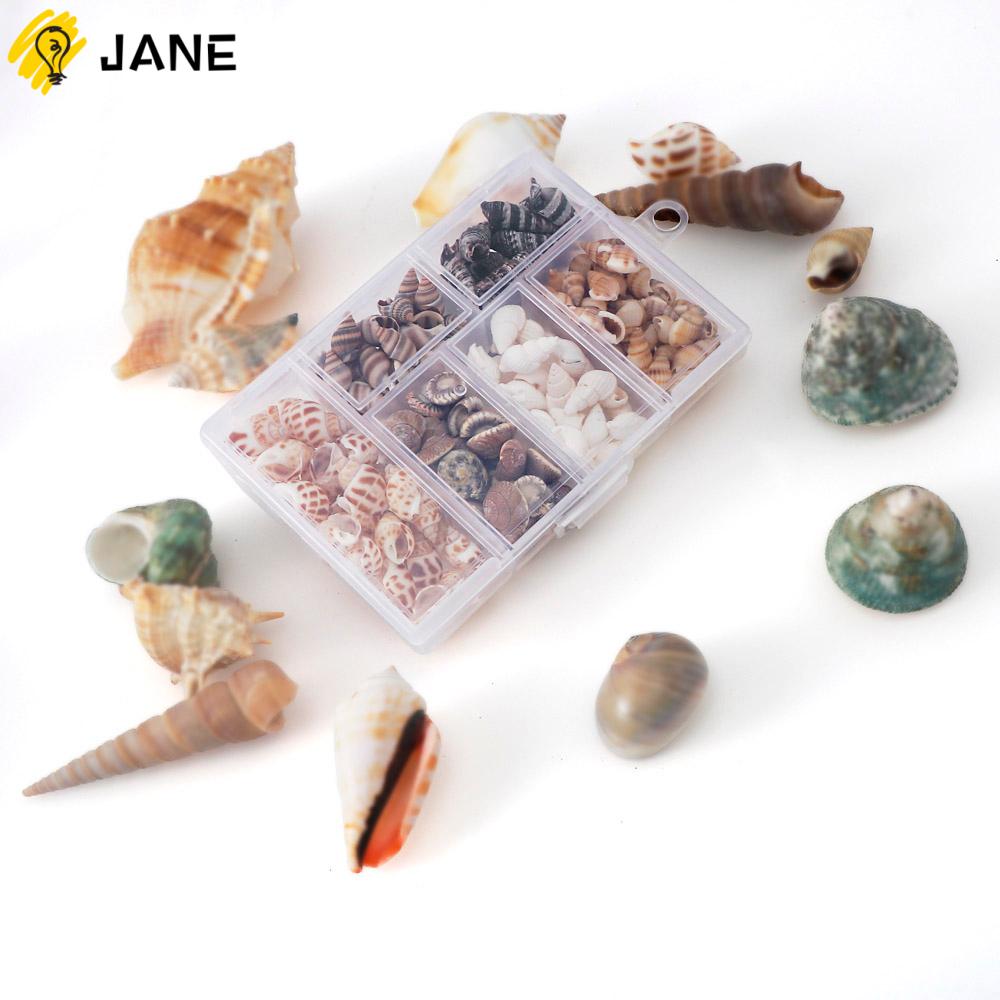 100g Vỏ Ốc Sò Tự Nhiên Trang Trí Bể Cá