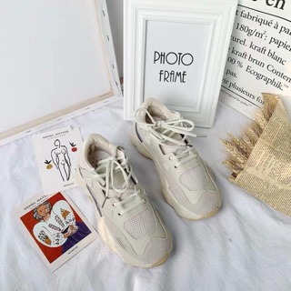 GIÀY SNEAKER🌸🌸🌸