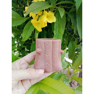 SÓC TRỐN TÌM