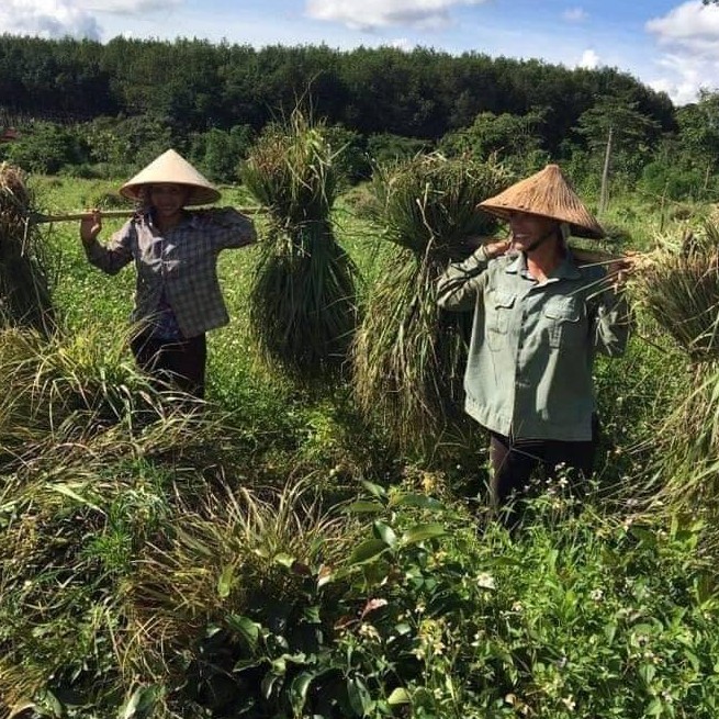 NƯỚC RỬA TAY KHÔ CHANH SẢ DIỆT KHUẨN 100ml | BigBuy360 - bigbuy360.vn