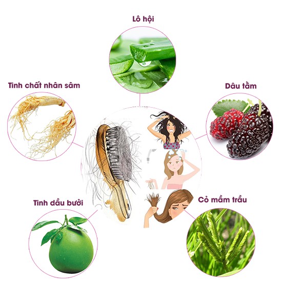DẦU GỘI DƯỢC LIỆU AN TOÀN TINH DẦU BƯỞI - NHÂN SÂM HƯƠNG XƯA CHAI 225ML