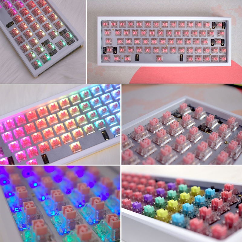 Công Tắc Khóa NAMA 5pin RGB POM 30g 45g 62g 67g 80g Force Mx
