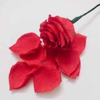 Set 100 cánh hoa hồng giấy cắt sẵn