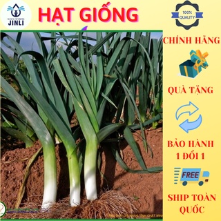 Hạt giống tỏi tây ý 100 hạt jl35