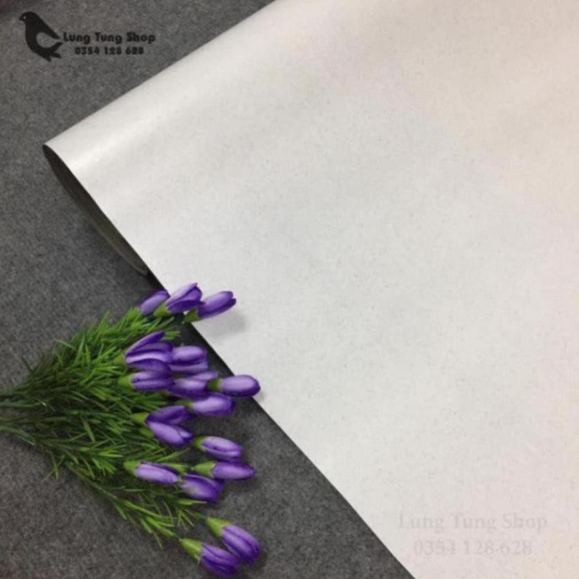 Nền chụp hình sản phẩm  - có nhiều màu