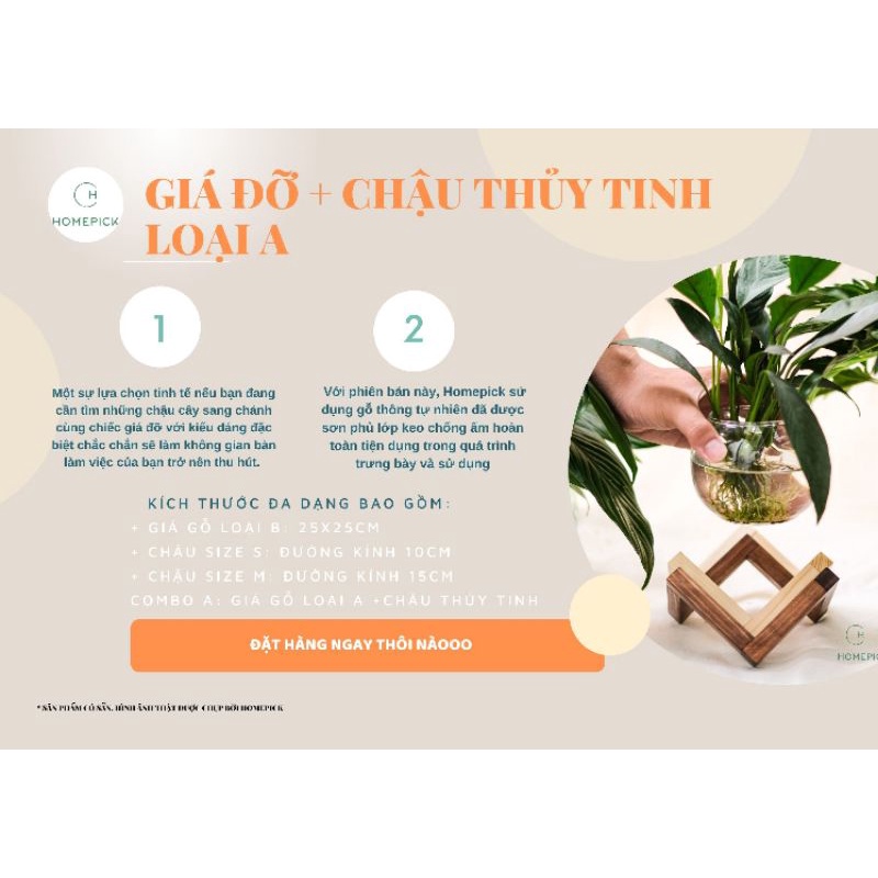 GIÁ ĐỠ CHẬU CÂY VĂN PHÒNG TÂY NINH - BÌNH THỦY TINH