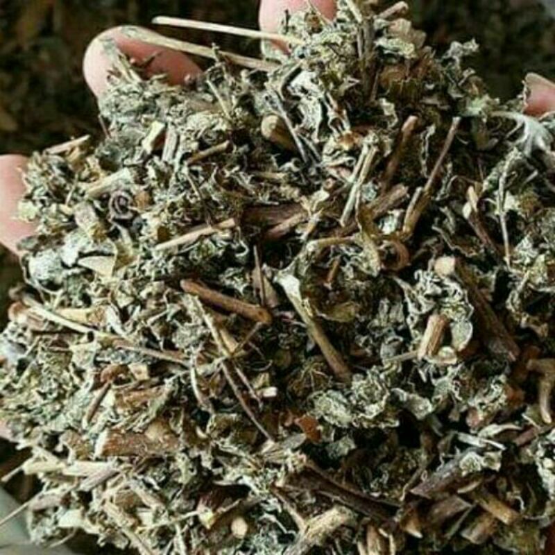 sỉ lẻ chè dây 2kg