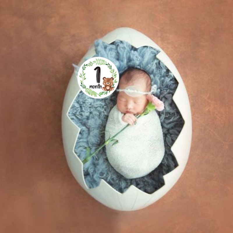 Sticker Đánh Dấu Cột Mốc Phát Triển Theo Tháng Làm Phụ Kiện Chụp Ảnh In Họa Tiết Hoa Cho Bé Sơ