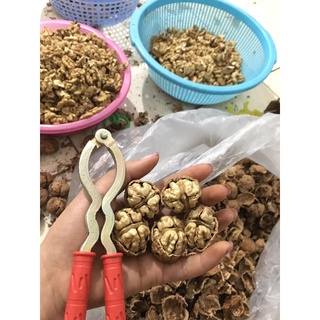 Nhân óc chó nếp  1kg