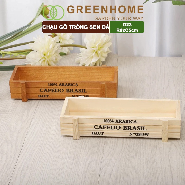 Chậu gỗ trồng sen đá Greenhome cafedo, D23xR9xC5cm, trang trí cây cảnh để bàn, xương rồng, nhiều màu để lựa chọn