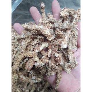 [Hàng chuẩn zin]Rêu sâu ChiLe (giữ ẩm tuyệt vời cho phong lan) gói 100g