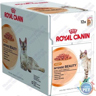 [FREESHIP TỪ 99K] ROYAL CANIN - PATE ƯỚT CHO MÈO ( HỘP 12 GÓI 85g )