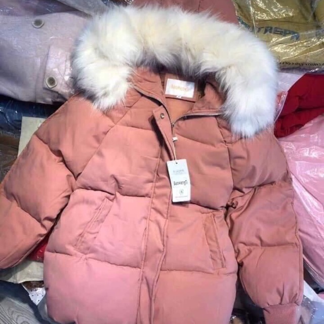 Áo phao new hàng siêu cấp