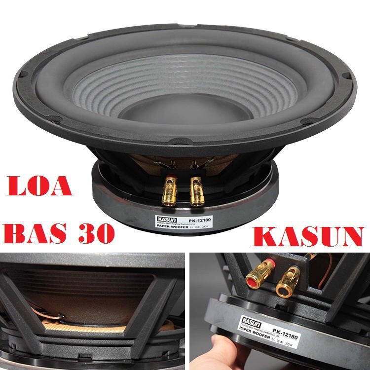 Loa bass 30 cao cấp Kasun-1 LOA