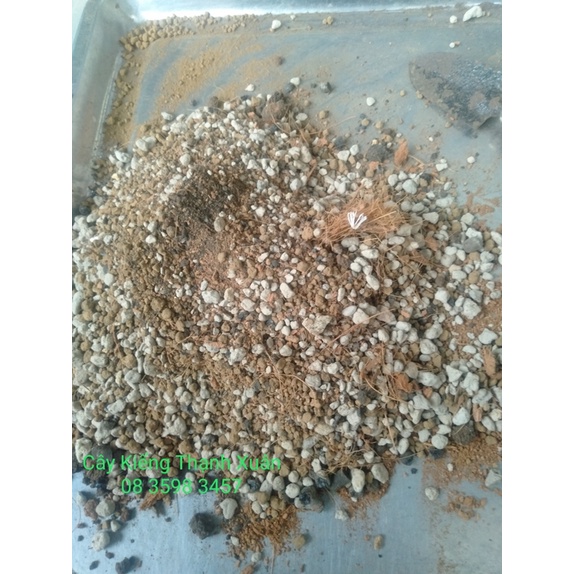Đất trồng sen đá trộn sẵn-Trồng xương rồng, sen đá-Cung cấp đầy đủ chất dinh dưỡng cho cây trồng- Bịch 1 KG .