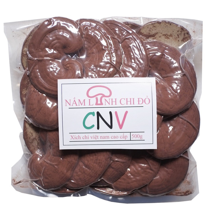 Nấm linh chi đỏ cao cấp Việt Nam CNV 500g (xích chi)