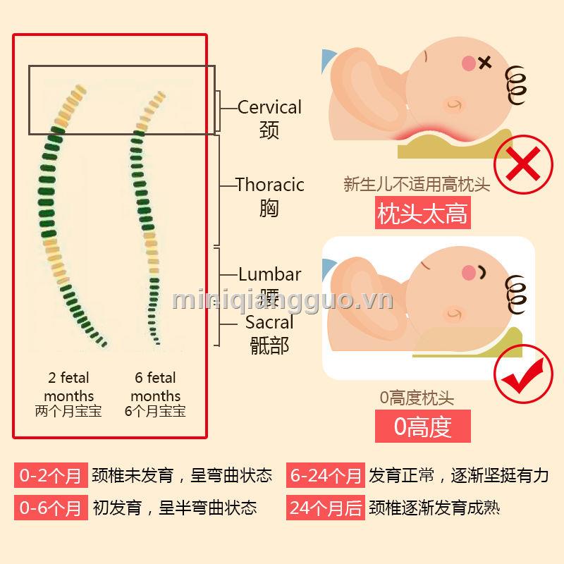 Gối Ngủ Định Hình Đầu Thoáng Khí Chống Vi Khuẩn Dành Cho Bé Sơ Sinh 0-1 Tuổi