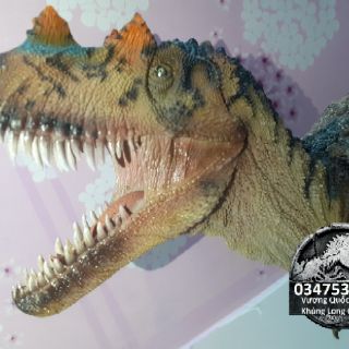 Mô hình khủng long Ceratosaurus hãng PNSO