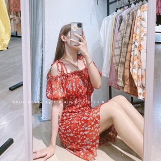ĐẦM HOA NHÍ RỚT VAI
