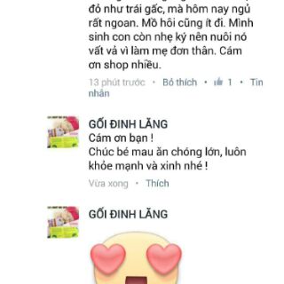 GỐI ĐINH LĂNG CAO CẤP SAIDO