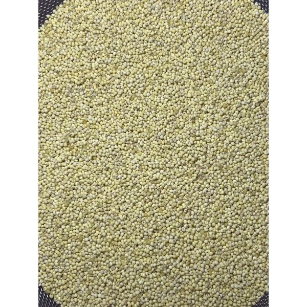 1KG  Kê Vàng Tách Vỏ