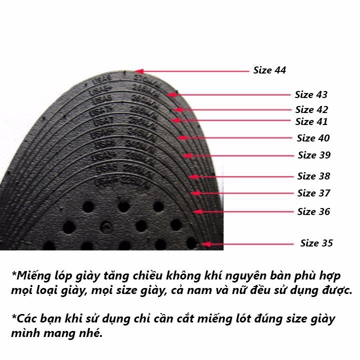 Lót giày tăng chiều cao thoáng khí 5cm