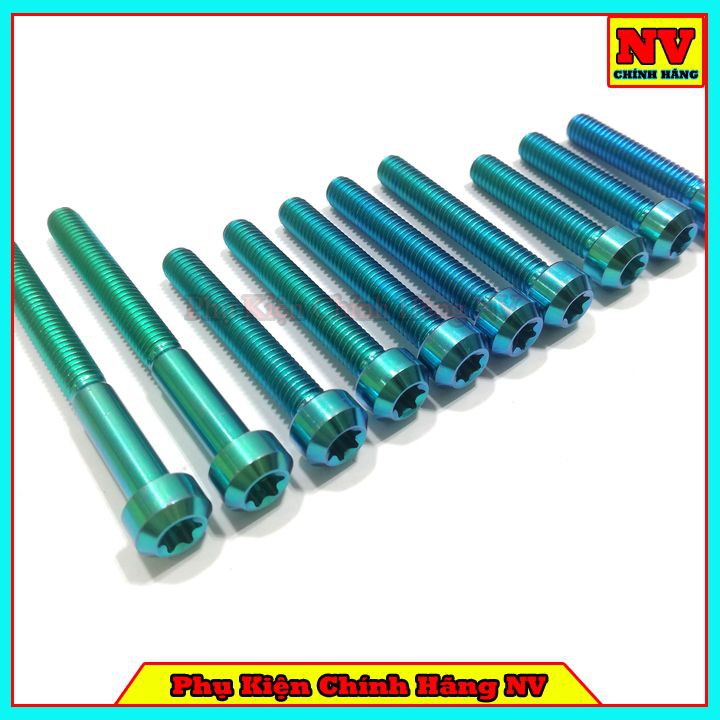 Bộ Ốc Lốc Máy Vario Gr5 Full Bộ 10 Con