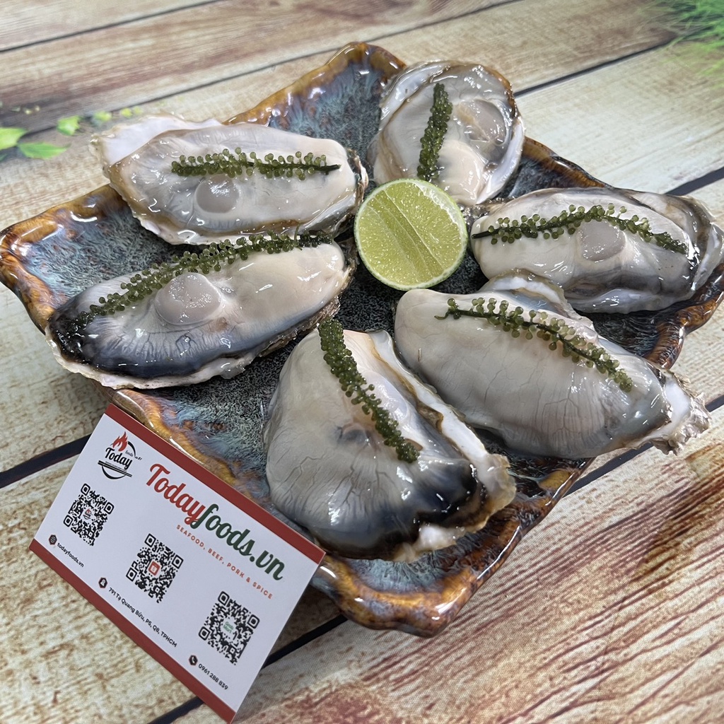 [CHỈ GIAO HCM] Hàu Nhật Bản Miyagi - Hàu chuẩn Sashimi 2L (5-6 con) 1KG Todayfoods