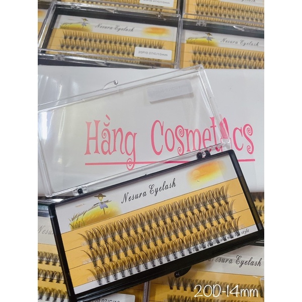 Mi Chùm vàng 10D -20D