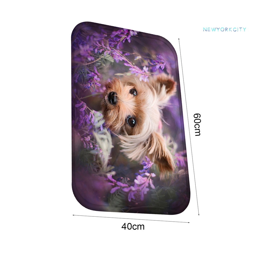 Thảm lót cửa chùi chân Vải Flannel Mềm Mại Thoải Mái Chạm Cảm Ứng In Họa Tiết Hoạt Hình