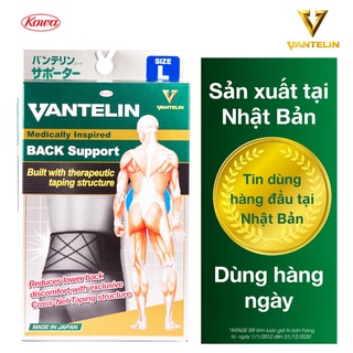 Đai Bảo Vệ Cột Sống Vantelin Back Support Size L