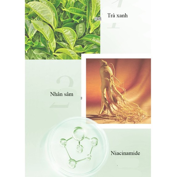 Hũ mặt nạ bùn trà xanh Noro Maigoole detox thải độc da Sena Beauty 100G | BigBuy360 - bigbuy360.vn