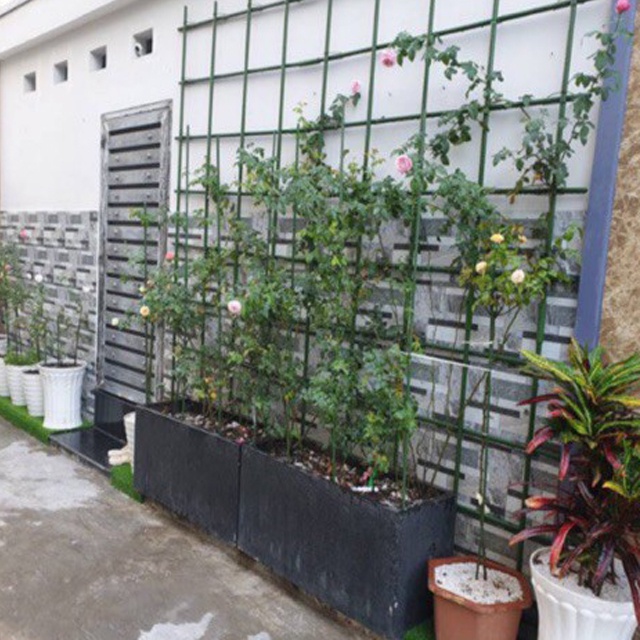 Ống thép bọc nhựa FULL size  dùng làm cây đỡ hoa hồng, làm giàn dây leo