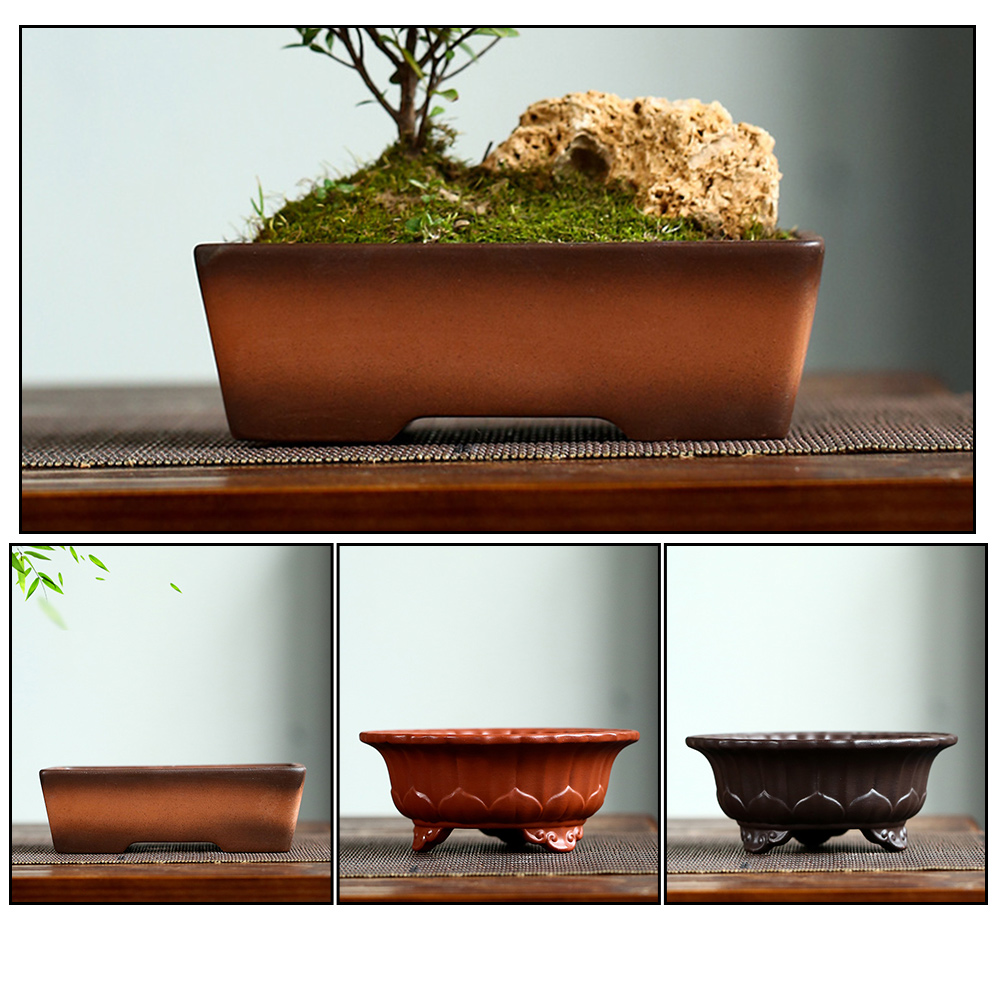 Chậu Gốm Trồng Cây Bonsai Có Lỗ Thoát Nước Tiện Dụng