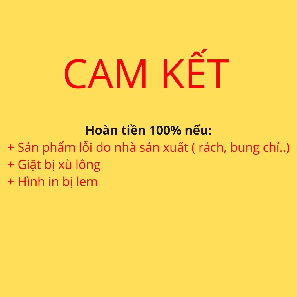 [Mã FAMAYWA giảm 10K đơn 50K] [Video Thật] Áo phông tay lỡ nữ nam, thun unisex form rộng Champions mềm mịn mát | BigBuy360 - bigbuy360.vn