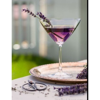 Ly thủy tinh ocean lexington cocktail 205ml | ocean 1019c07 , nhập khẩu thái lan