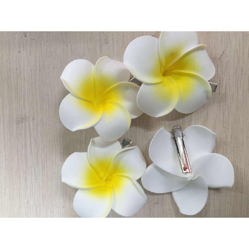 KẸP TÓC HOA SỨ CHO BẠN GÁI (GIÁ RẺ CỰC CỰC ĐỈNH)