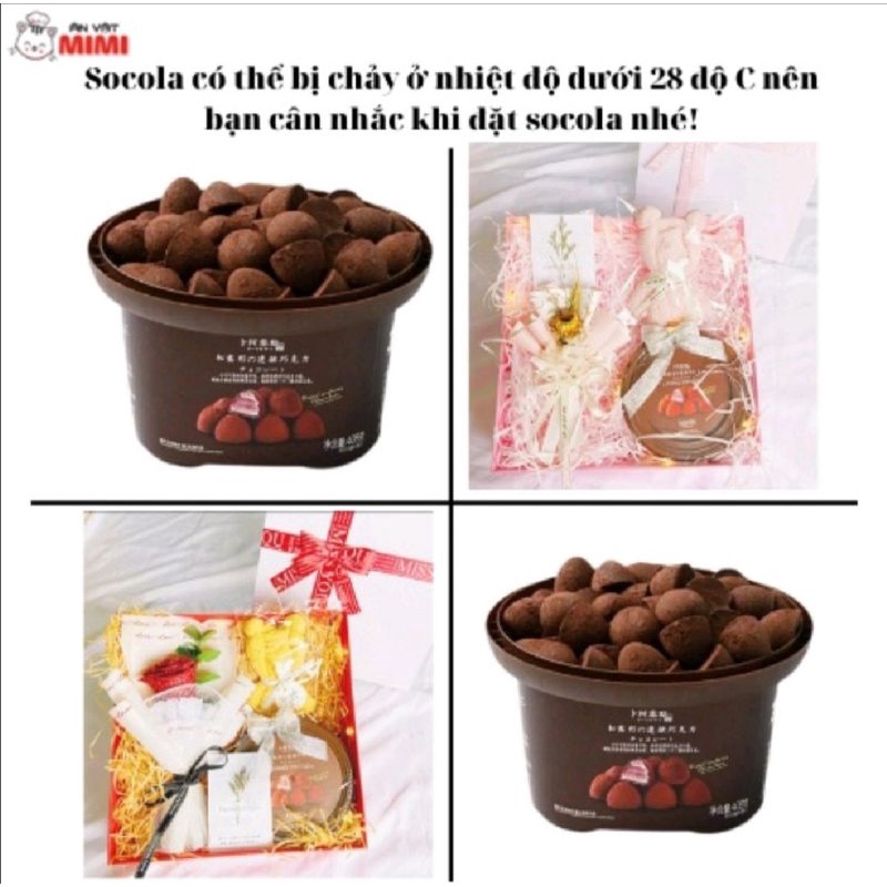 Socola tươi Nama hộp nguyên 80 viên