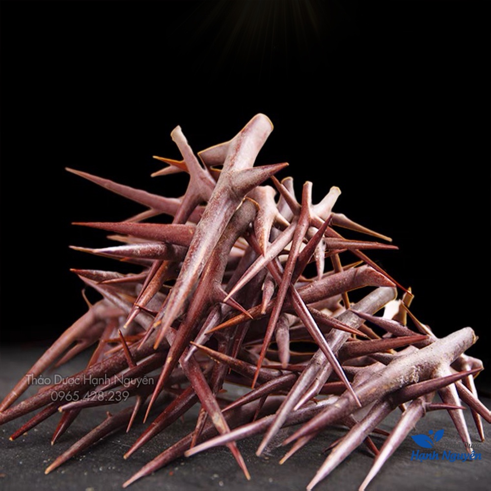 Gai bồ kết khô 1kg (Tạo giác thích)