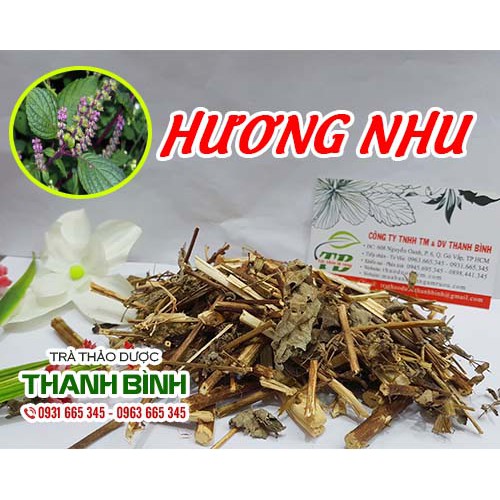 Cây Hương Nhu Khô 100g _ Thảo Dược Loại 1