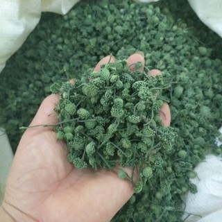 Hoa tam thất bắc loại đẹp 500g - 1kg)