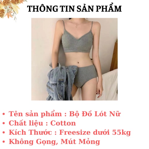 Áo Ngực Nữ Quần Lót Cotton - Bộ Đồ Lót Nữ Không Gọng Đệm Mỏng Freesize  AMYBRA B3211