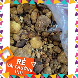 Bán hạ 100g