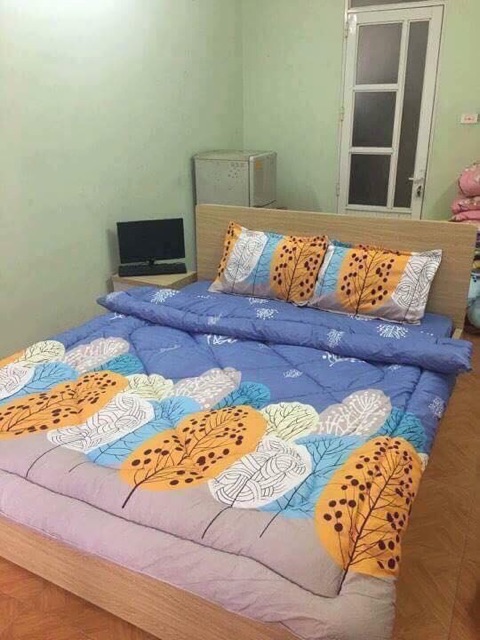 Bộ 5 món Chăn Phao Ga Gối Poly trần bông chăn phao ấm áp cho mùa đông