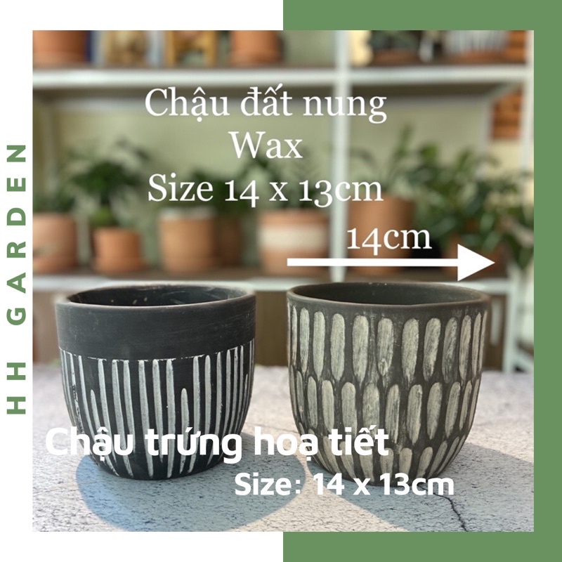 Chậu đất nung nhiều hoạ tiết, Size 14-15cm chậu trồng cây để bàn, sen đá xương rồng